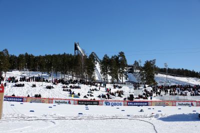 Trophy World Cup