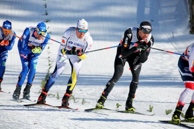 Calle Halfvarsson, Dario Cologna