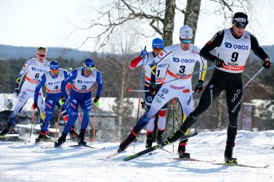 Calle Halfvarsson, Dario Cologna