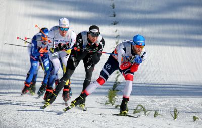 Calle Halfvarsson, Dario Cologna and 1 more