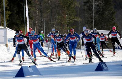 Frida Hallquist, Anna Dyvik and 3 more