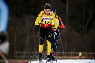 Sander Krouwel