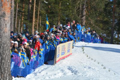 World Cup Cross Country skiing