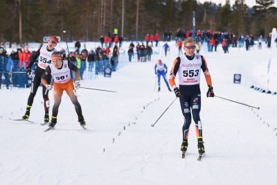 Truls Gisselman, Petter Dahl