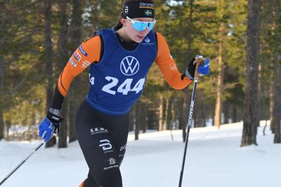 Moa Olsson / Ilar