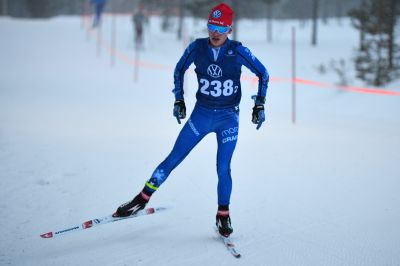 Albin Gezelius