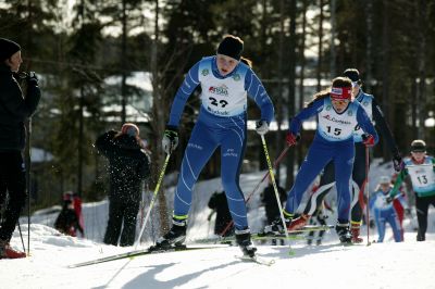 Ottilia Niemi