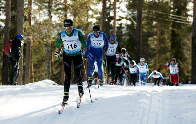 Linnea Björn