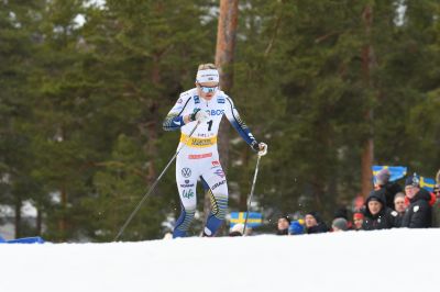 Linn Svahn