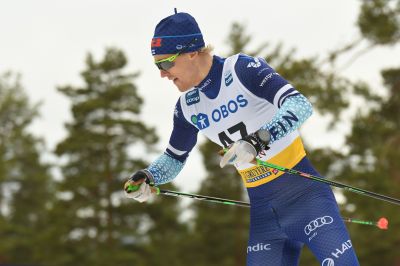 Lauri Lepistö