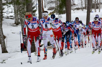 Charlotte Kalla, Therese Johaug