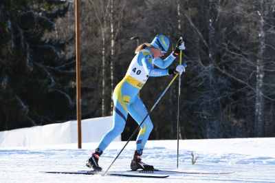 Lovisa Modig