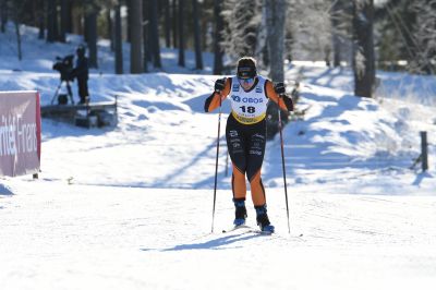 Moa Olsson / Ilar