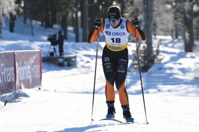 Moa Olsson / Ilar