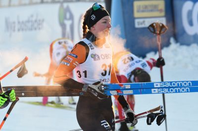 Moa Olsson / Ilar