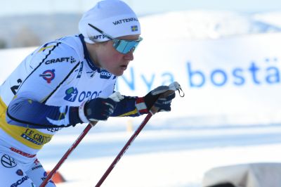 Hanna Falk