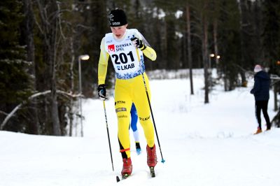 Sune Ögren