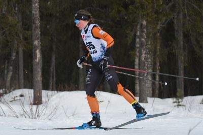 Moa Olsson / Ilar