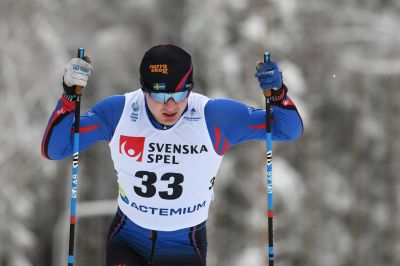 Elis Tingelöf