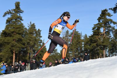 Moa Olsson / Ilar