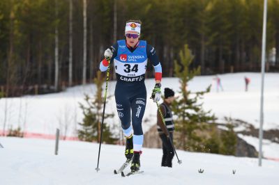 Sven Leander