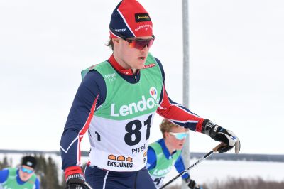 Mattias Törnqvist