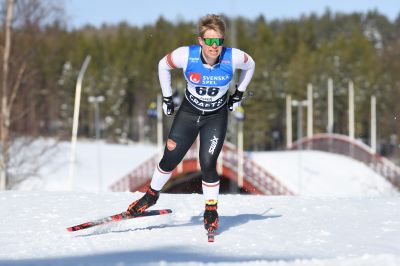 David Sjöberg