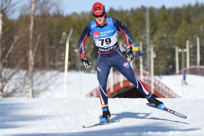 Mattias Törnqvist