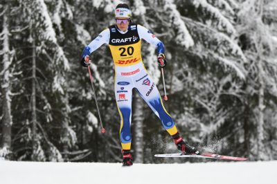 Lovisa Modig
