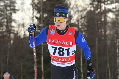 David Palmgren