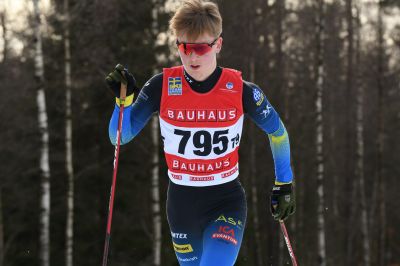 Måns Ravald