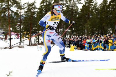 Moa Olsson / Ilar