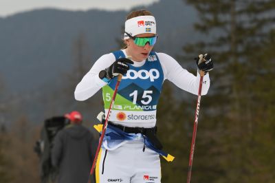 Moa Olsson / Ilar