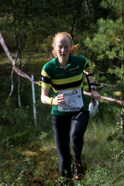 Ane Dyrkorn