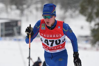 Tor Kronholm