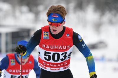 Måns Ravald