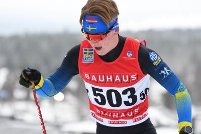 Måns Ravald