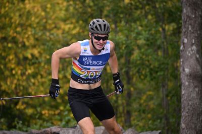 Erik Gustafsson, Erik Gustafsson