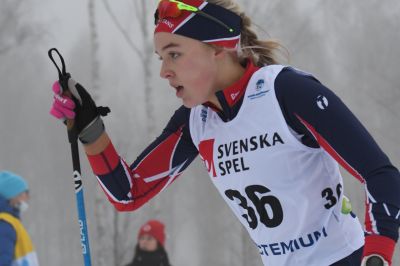 Anja Andersdotter