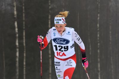 Lisa Vinsa