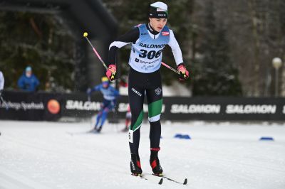 Albin Hållmarker